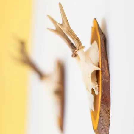 Penzion Garni Weberhausl